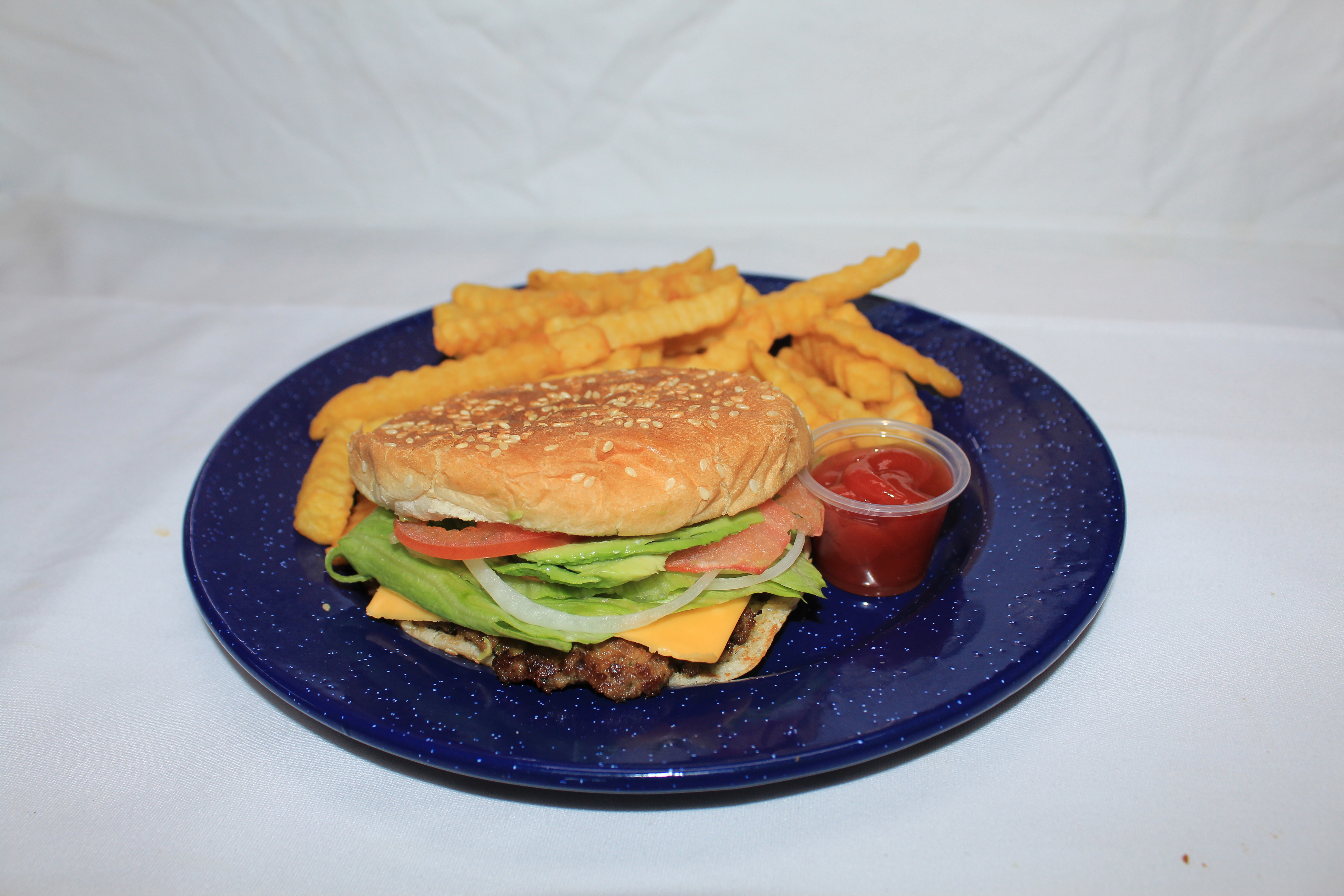 hamburger on blue plate with fries and ketchup